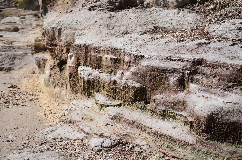 2017-03 New Zealand/Waiotapu/DSC_0342.JPG